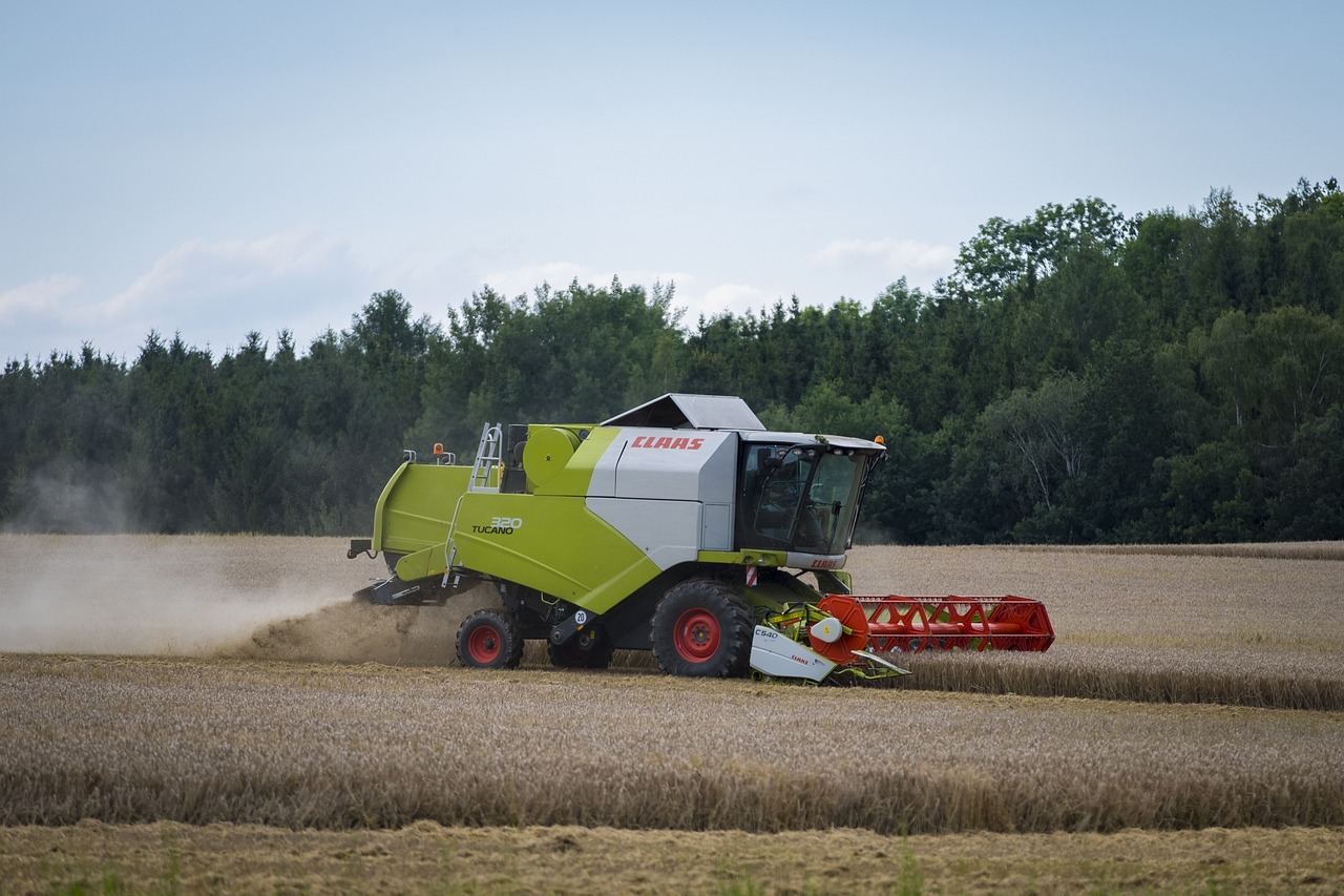 最新粮补规定及其对农业发展的影响分析