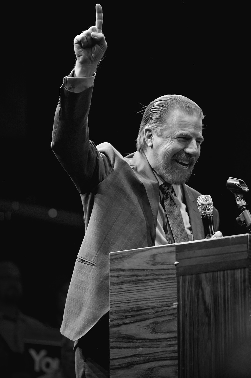 今日投资市场最新净值分析与动态解读