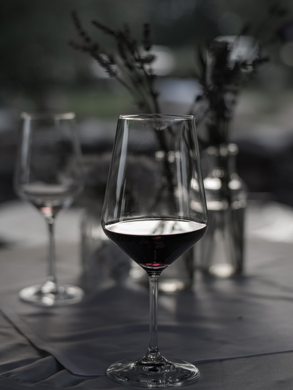 派比小说最新动态及深度解读速递