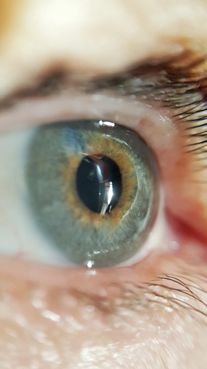 最新眉毛流行趋势，引领时尚新潮的眉毛新款设计探索