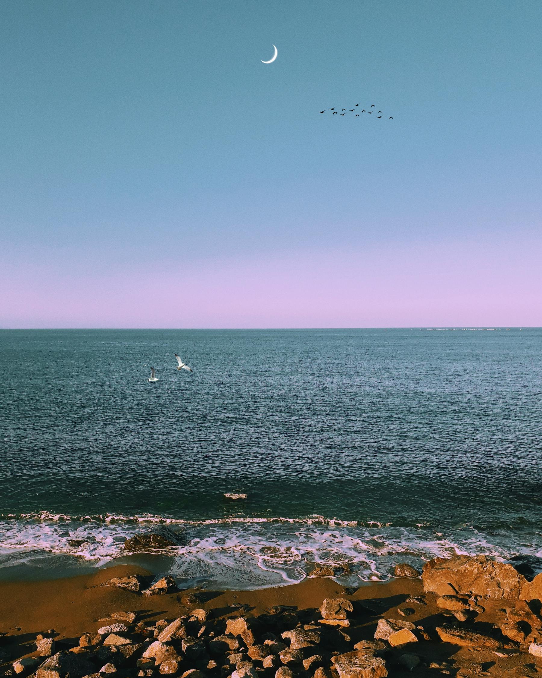 澧县航拍全景，湘西北的璀璨明珠