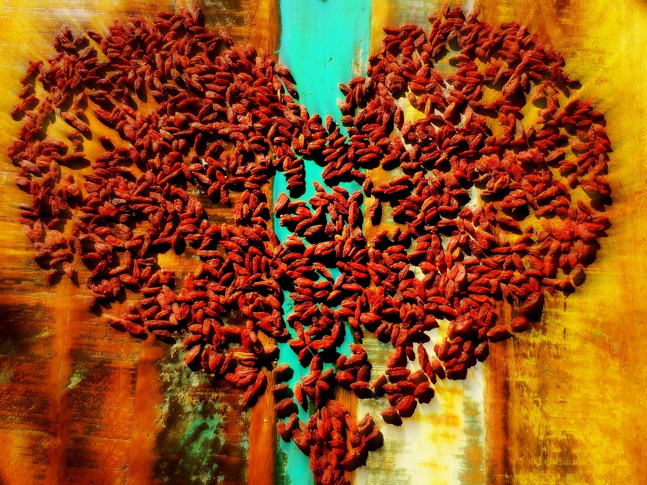 融爱最新动态,重塑爱的力量与社会责任,传递温暖与责任