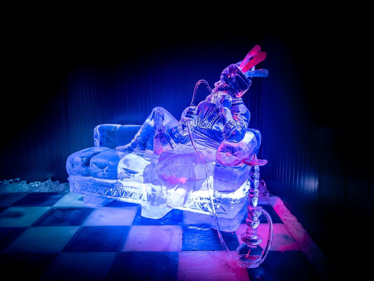 平纪最新动态,展现时代潮流与全新面貌