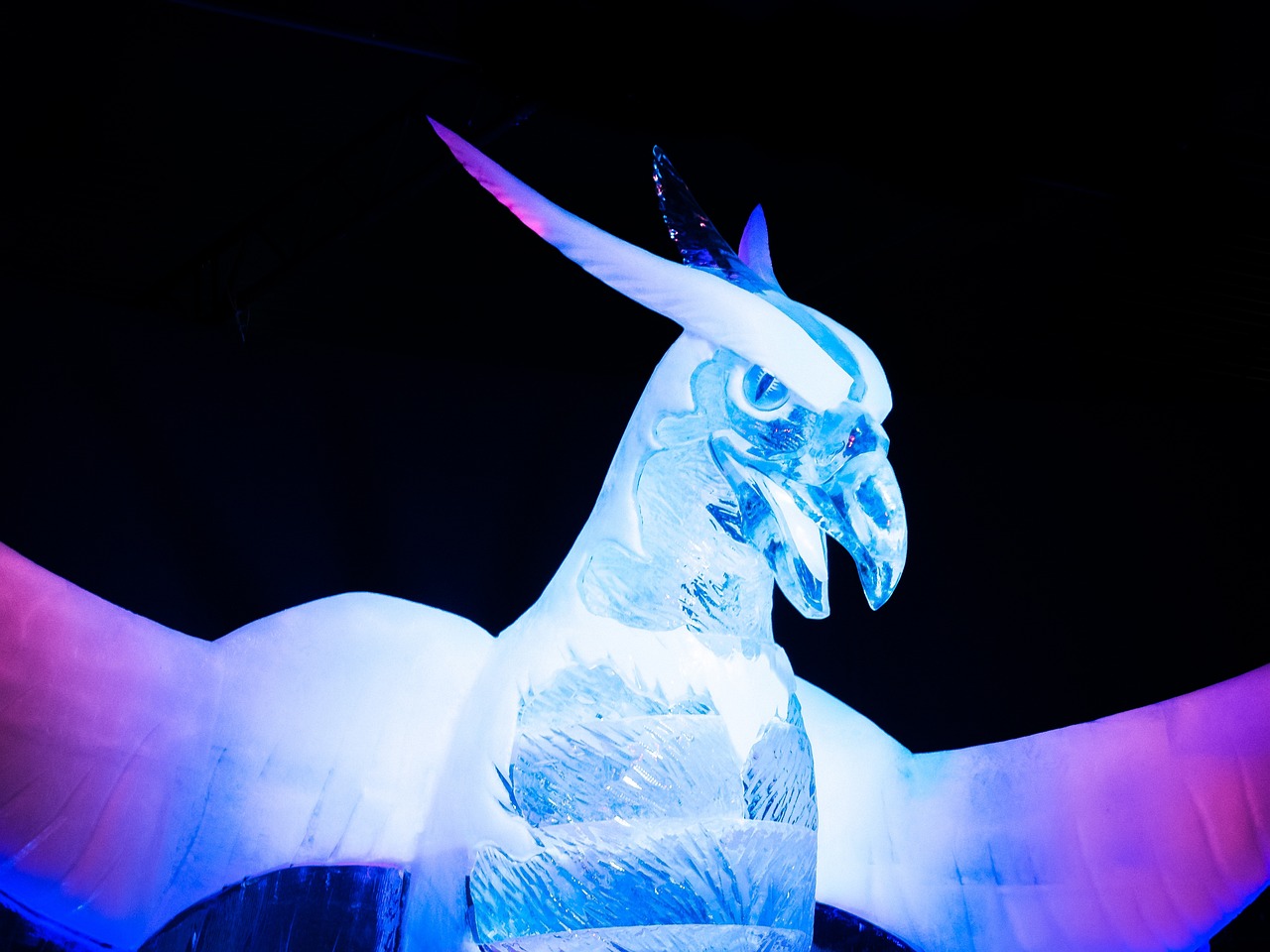 平纪最新动态，展现时代潮流与全新面貌