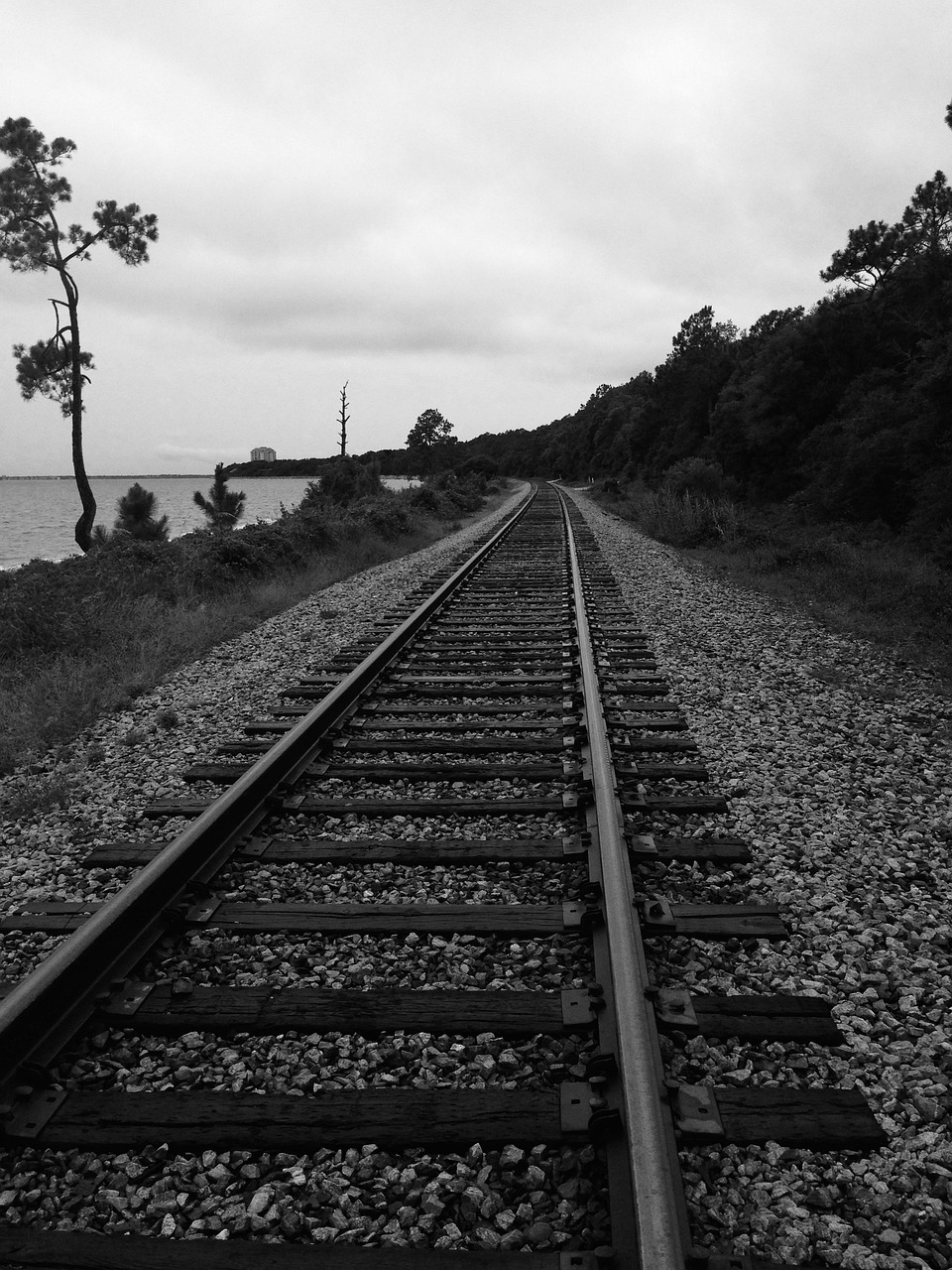 最新广没情，探索与反思之路