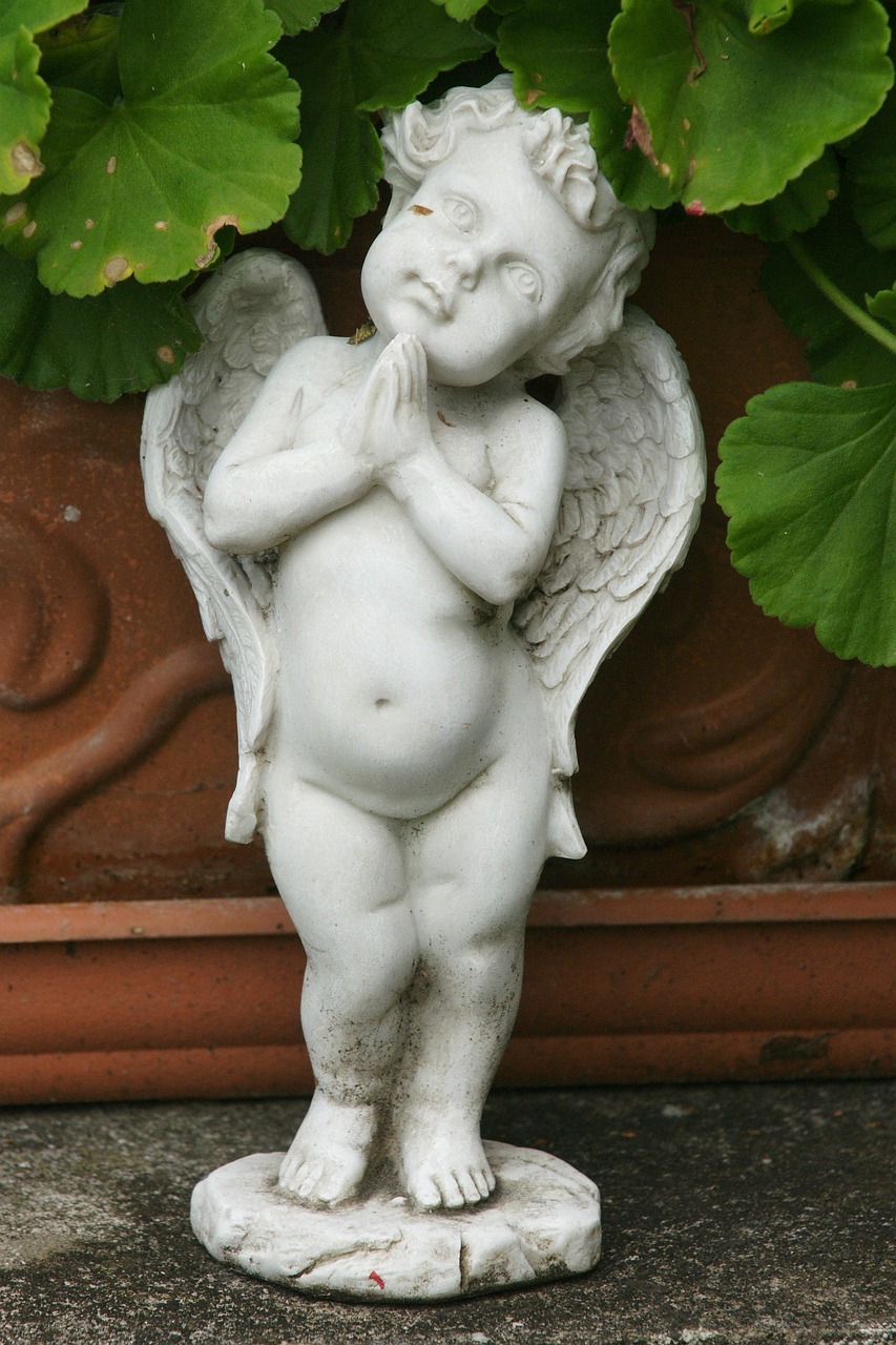 大乐透晒票最新动态，揭示彩票背后的故事与期待