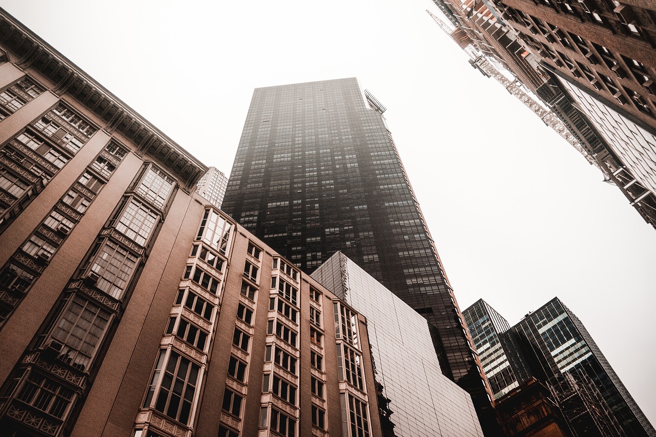 期货市场最新动态及价格分析与展望