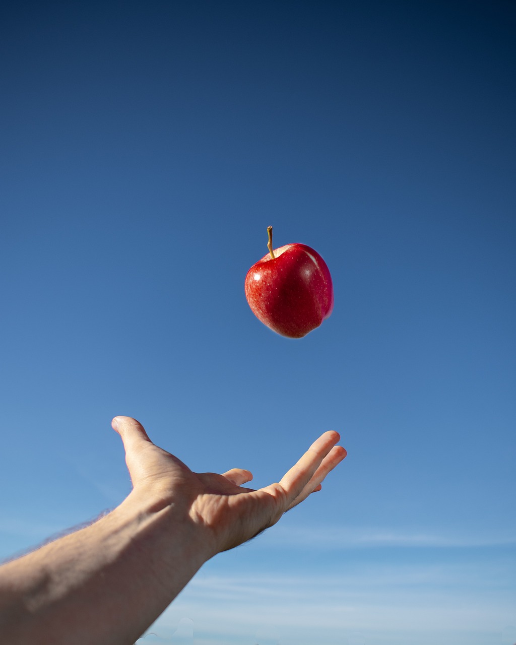 苹果iPad平板最新动态,创新科技与娱乐的巅峰融合