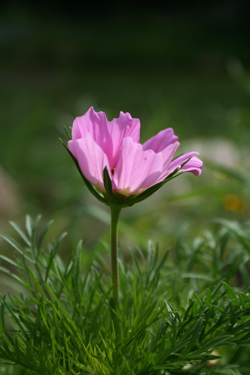 黑洞最新动态揭秘，宇宙未知领域的突破性进展探索