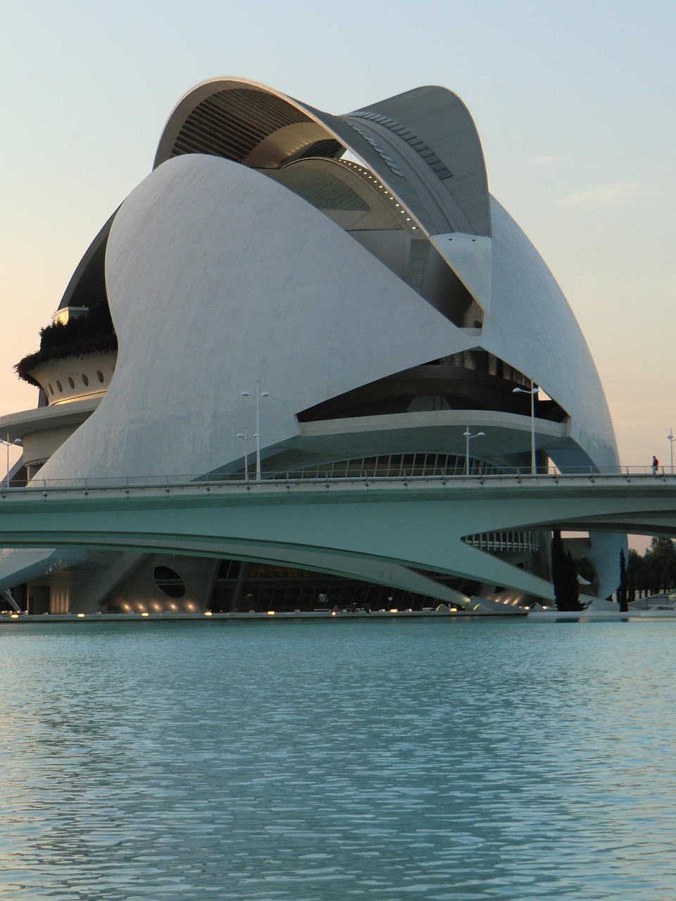 探索肌肉增长最新动态,科学与艺术的交融之路