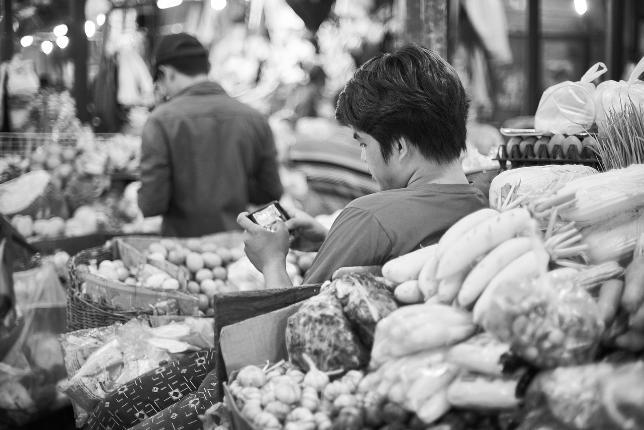 最新毕节日报揭秘,当地发展动态与社会变迁全貌