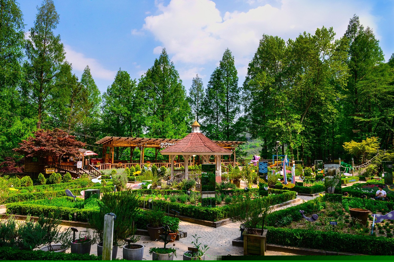 韩国大邱最新发展动态概览