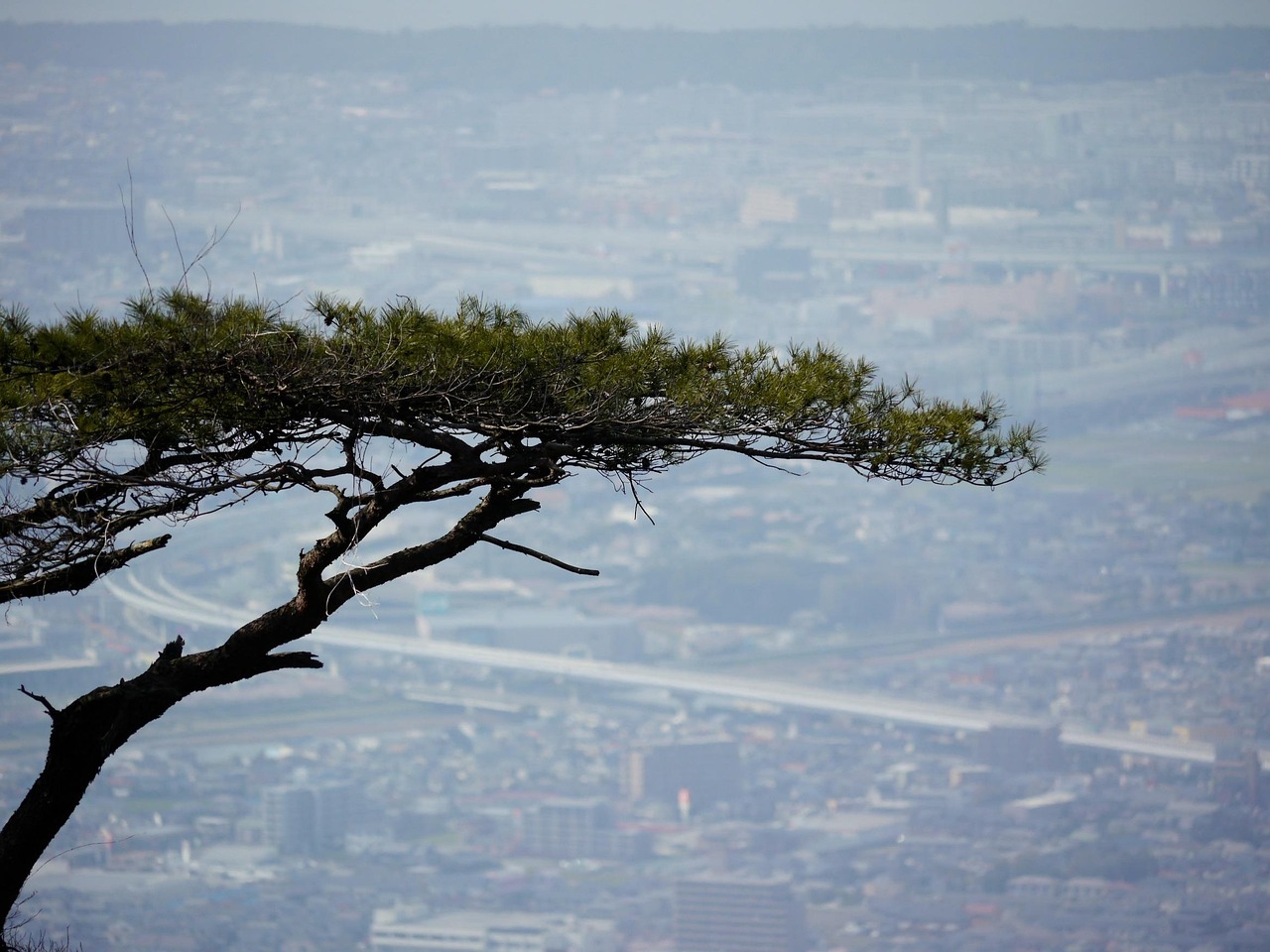 大道任我行 第13页