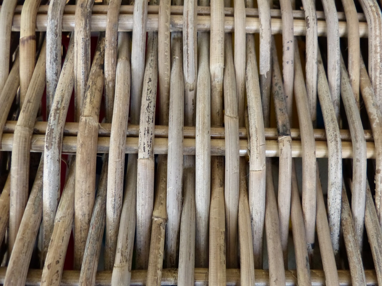 最新发酵猪粪技术及其应用探讨