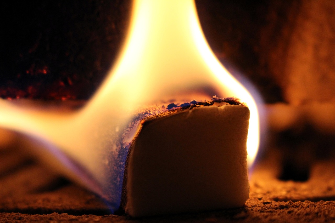 光遇最新情报解析,探索未知游戏世界的奥秘之旅