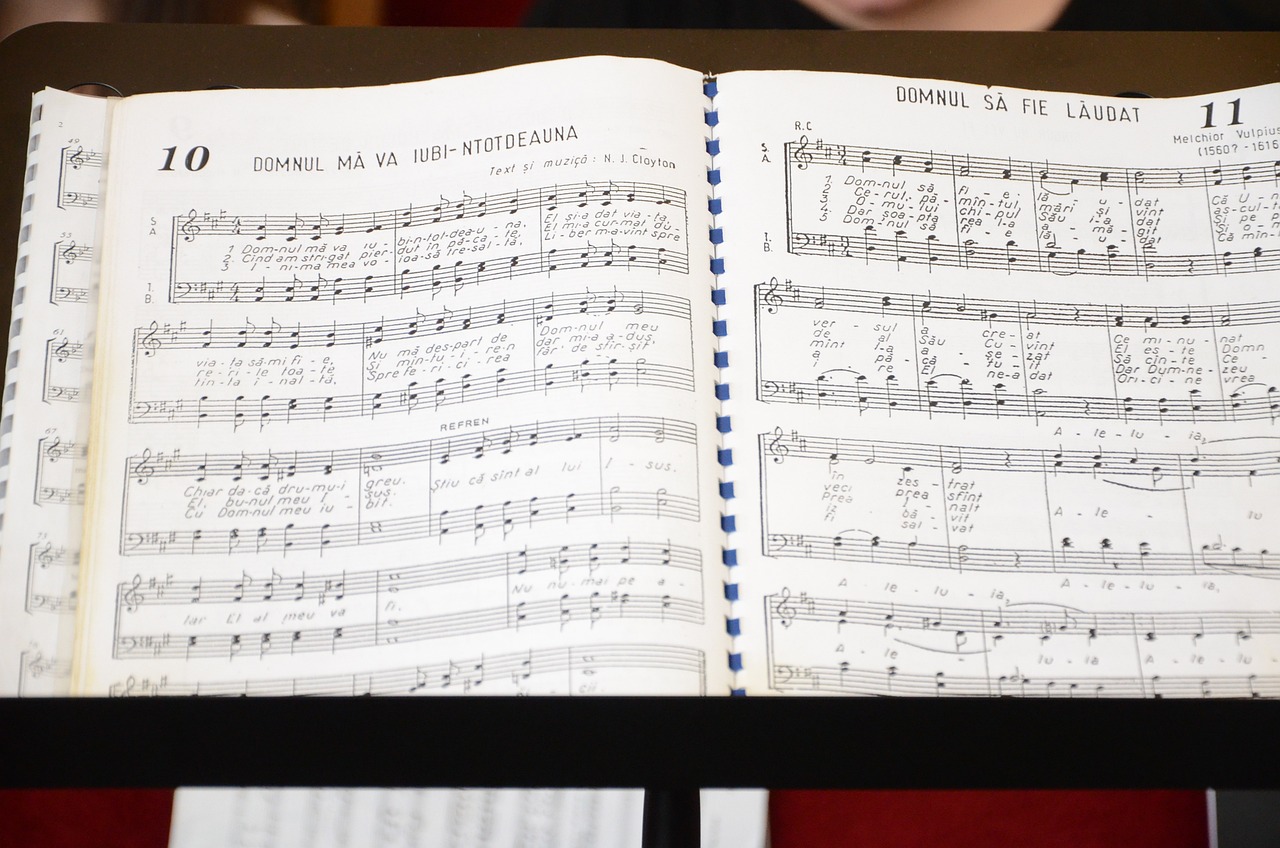 储姗最新歌曲,音乐新篇章的启航