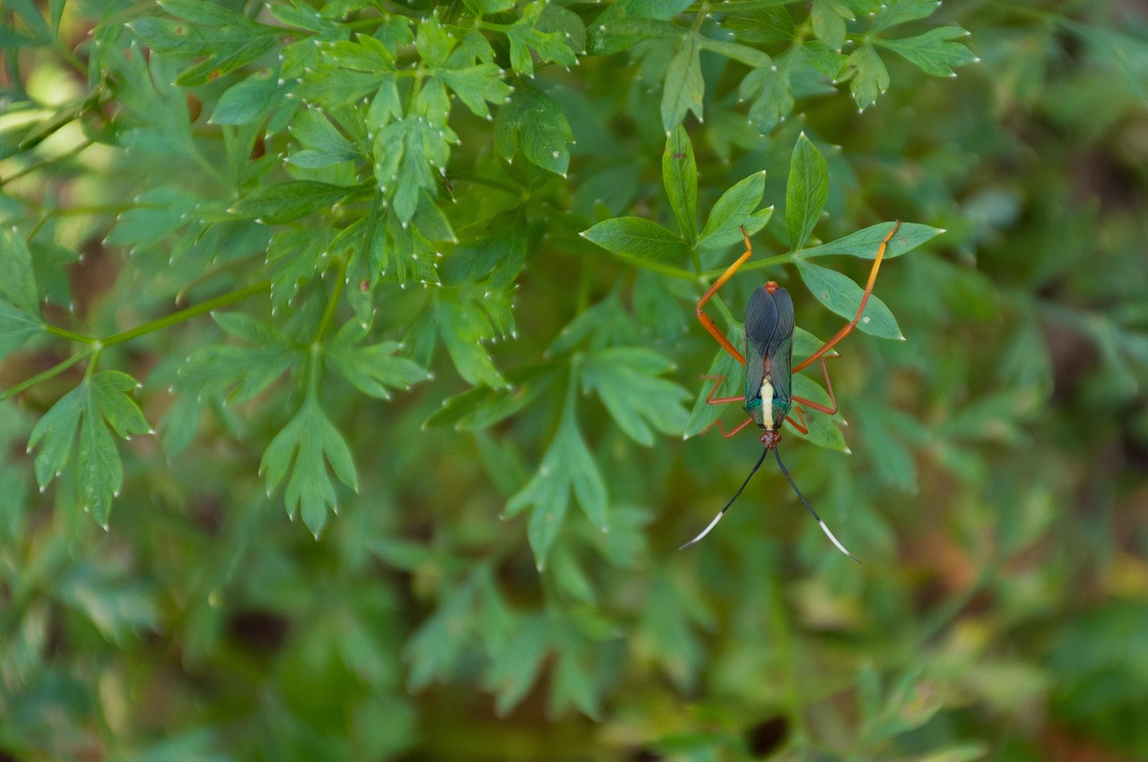 探索现代宅文化新风尚,御宅最新小动态