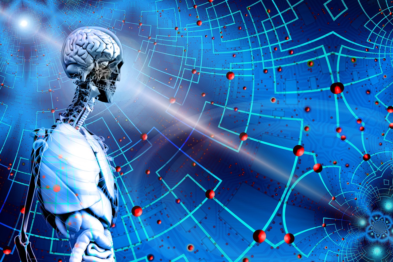 最新爆速仪技术革新及未来应用展望