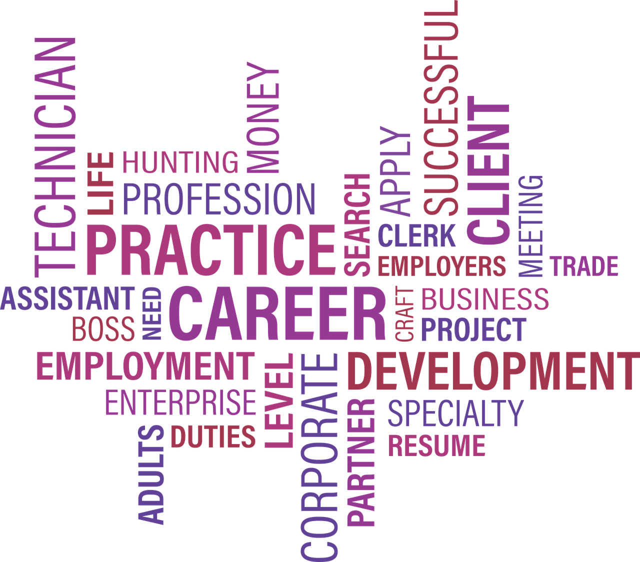 双汇最新招聘，引领行业，携手共筑未来之梦