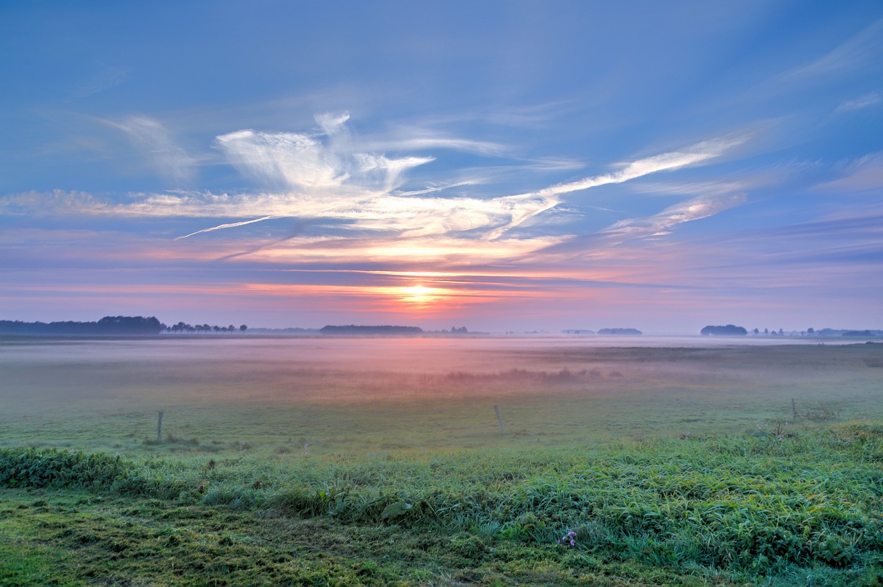 香港最新动态,在创新与发展的浪潮中稳步前行