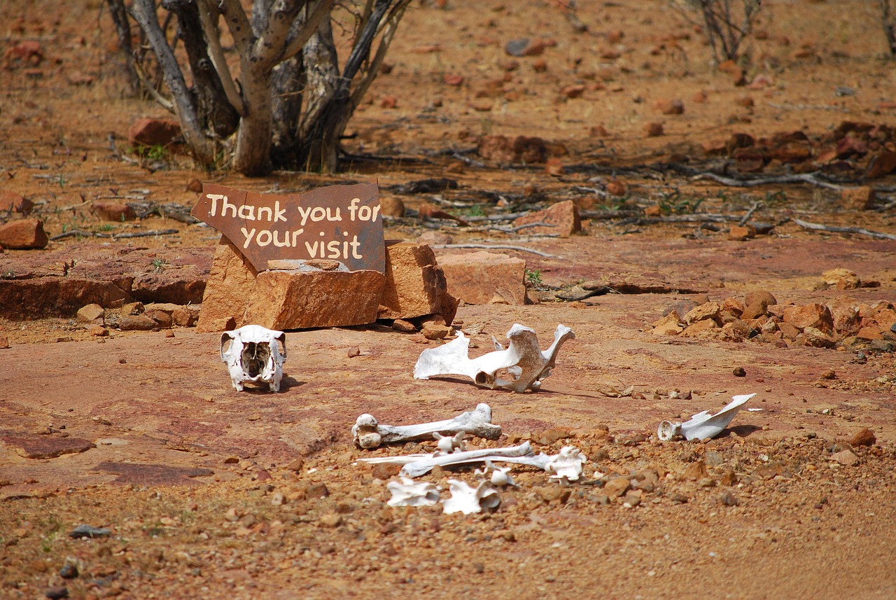 广州回南京最新动态及体验分享