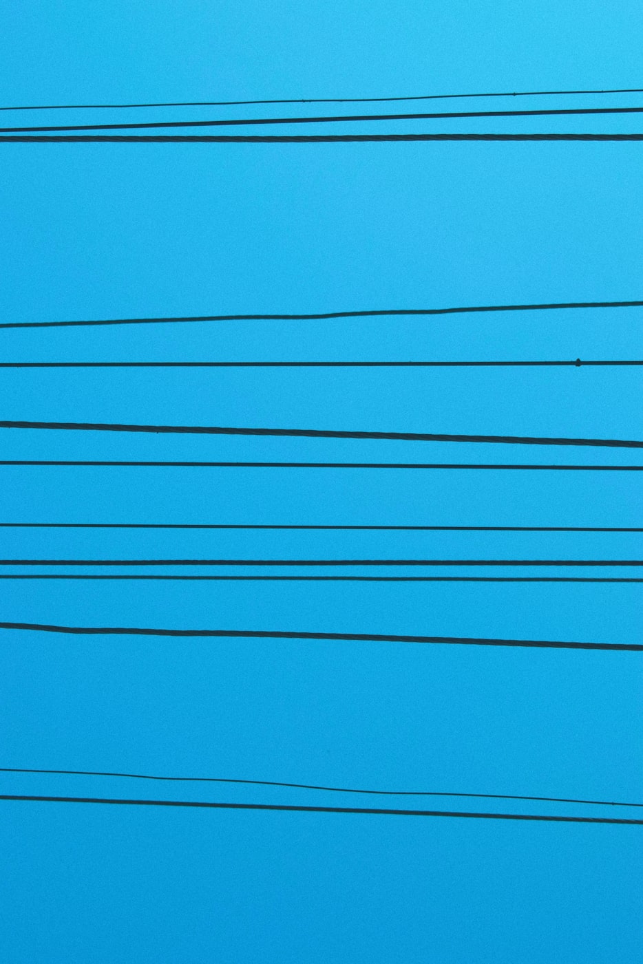 信女兄妹最新动态揭秘，探索未知，勇往直前