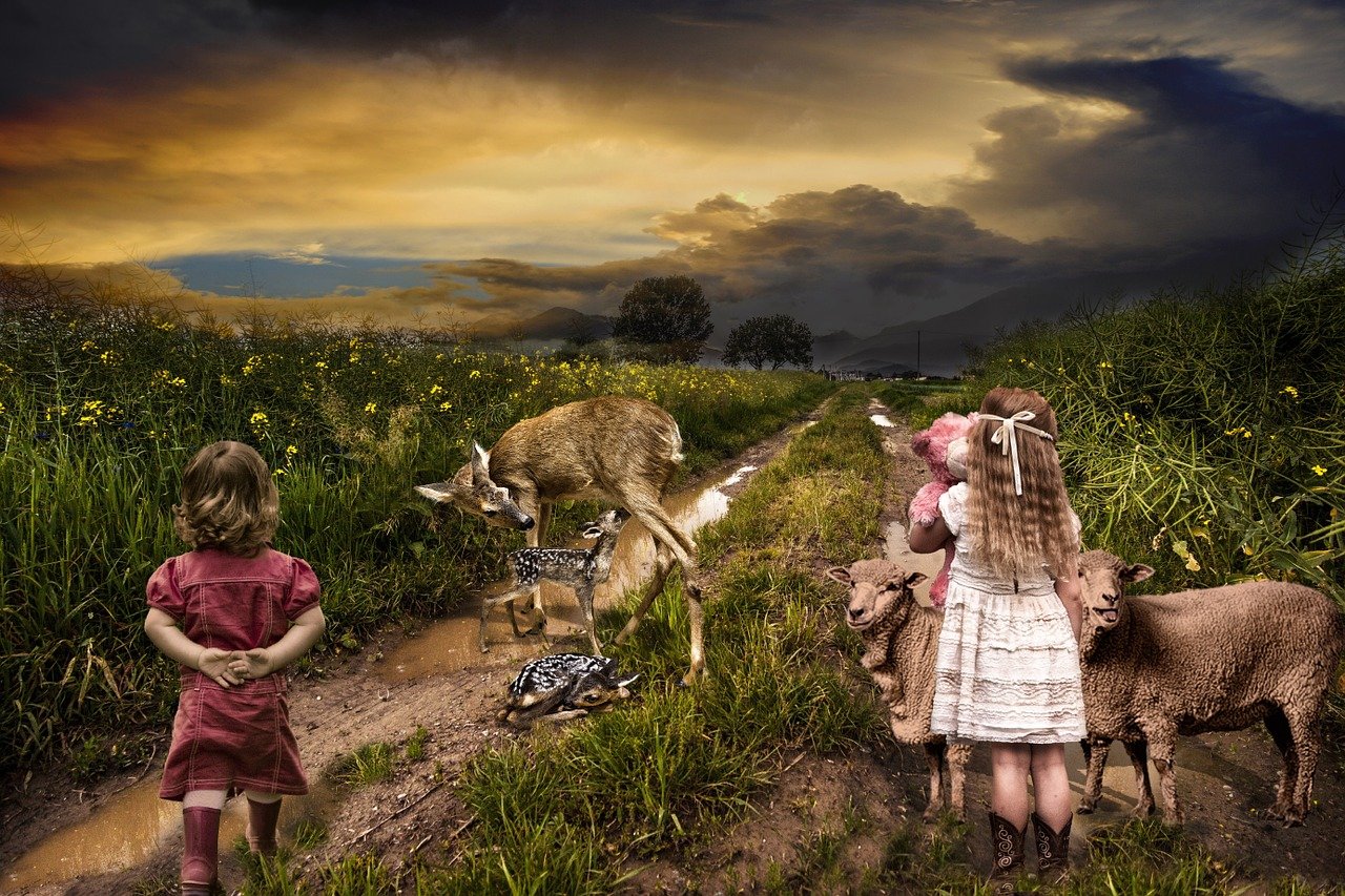 林奇最新章,奇幻未知世界的探索之旅