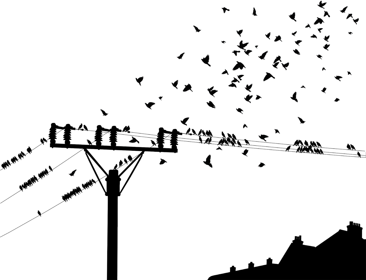 南都电源最新动态,引领新能源行业迈向新高度大揭秘