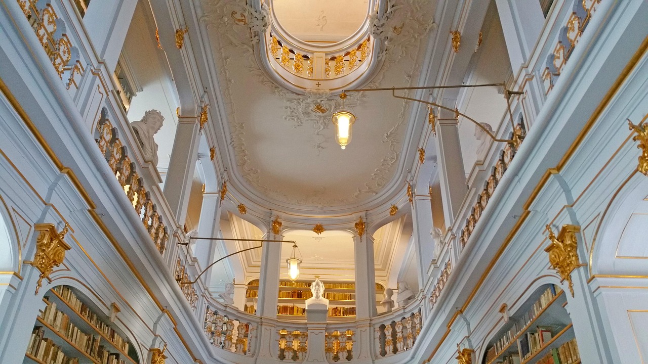 阿妮卡最新动态，探索未知，绽放个人魅力