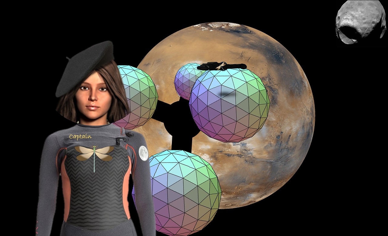 杨辰小说最新动态,奇幻之旅探索未知世界