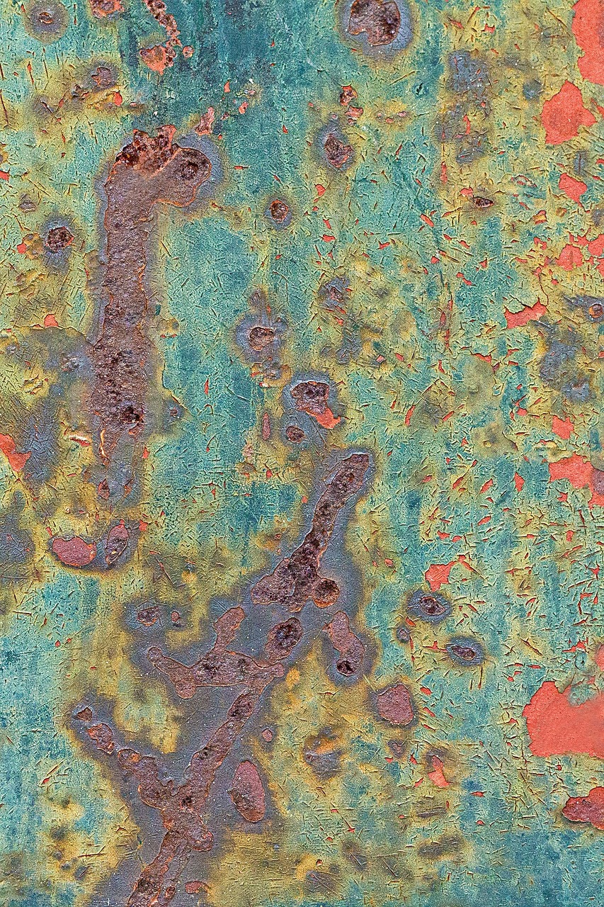 最新鹅价网动态分析与趋势预测