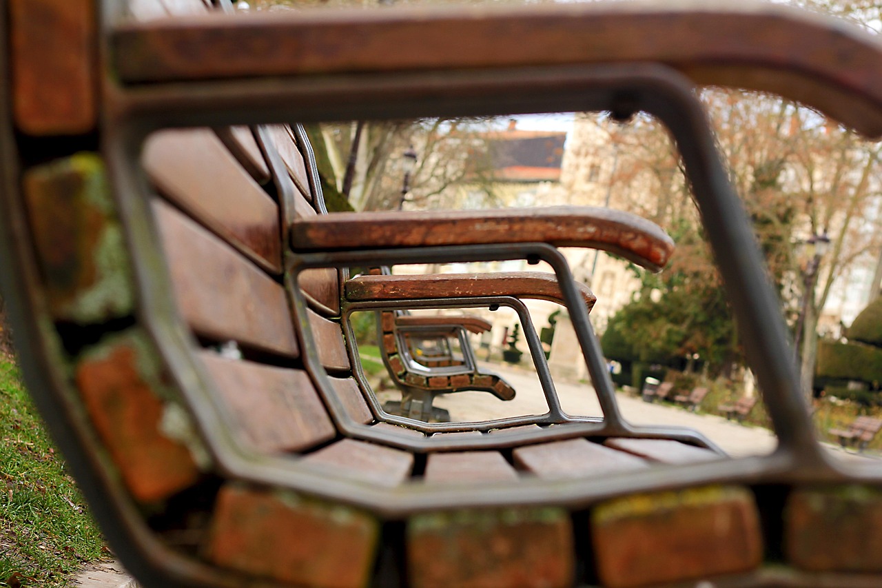 黄贝岭最新动态，城市更新与社区发展活力同步提升