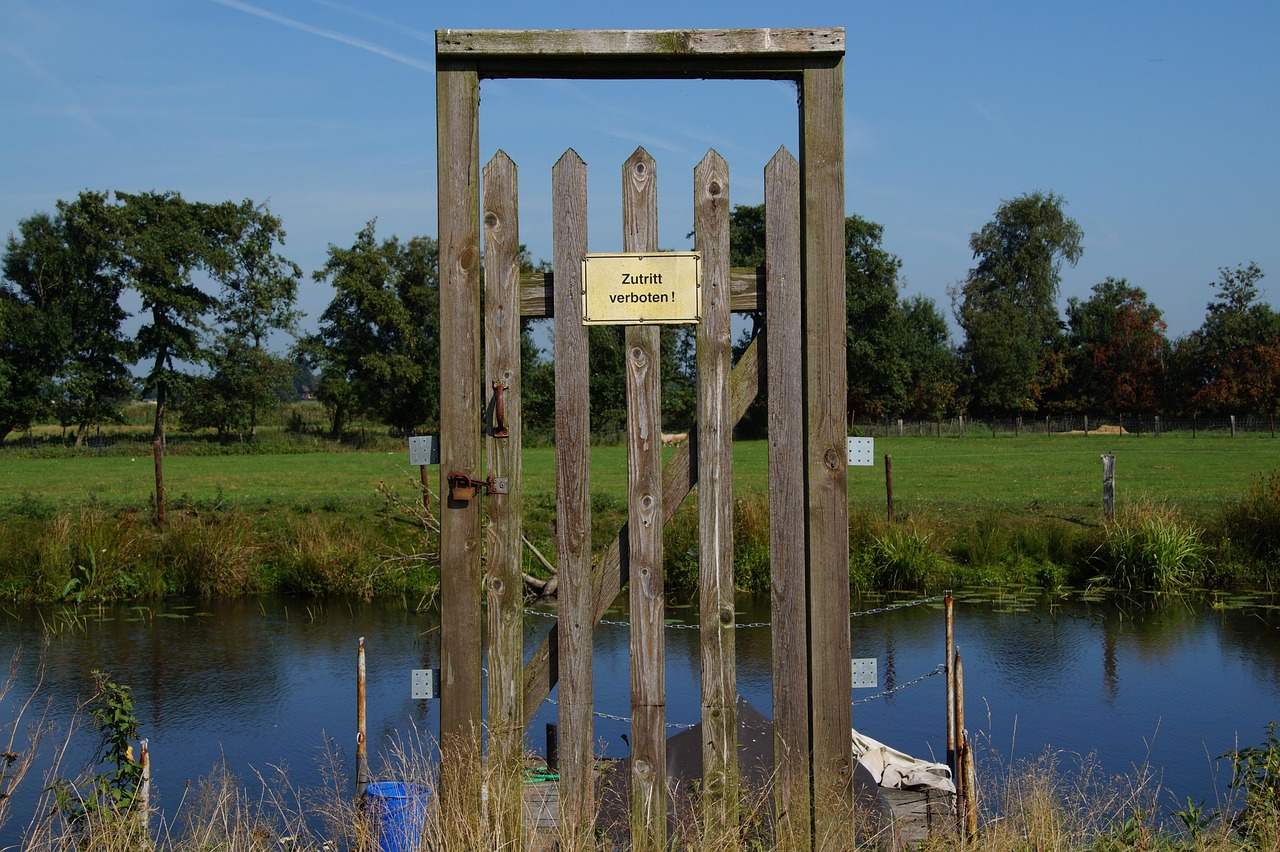 康桥最新事件，探索与启示