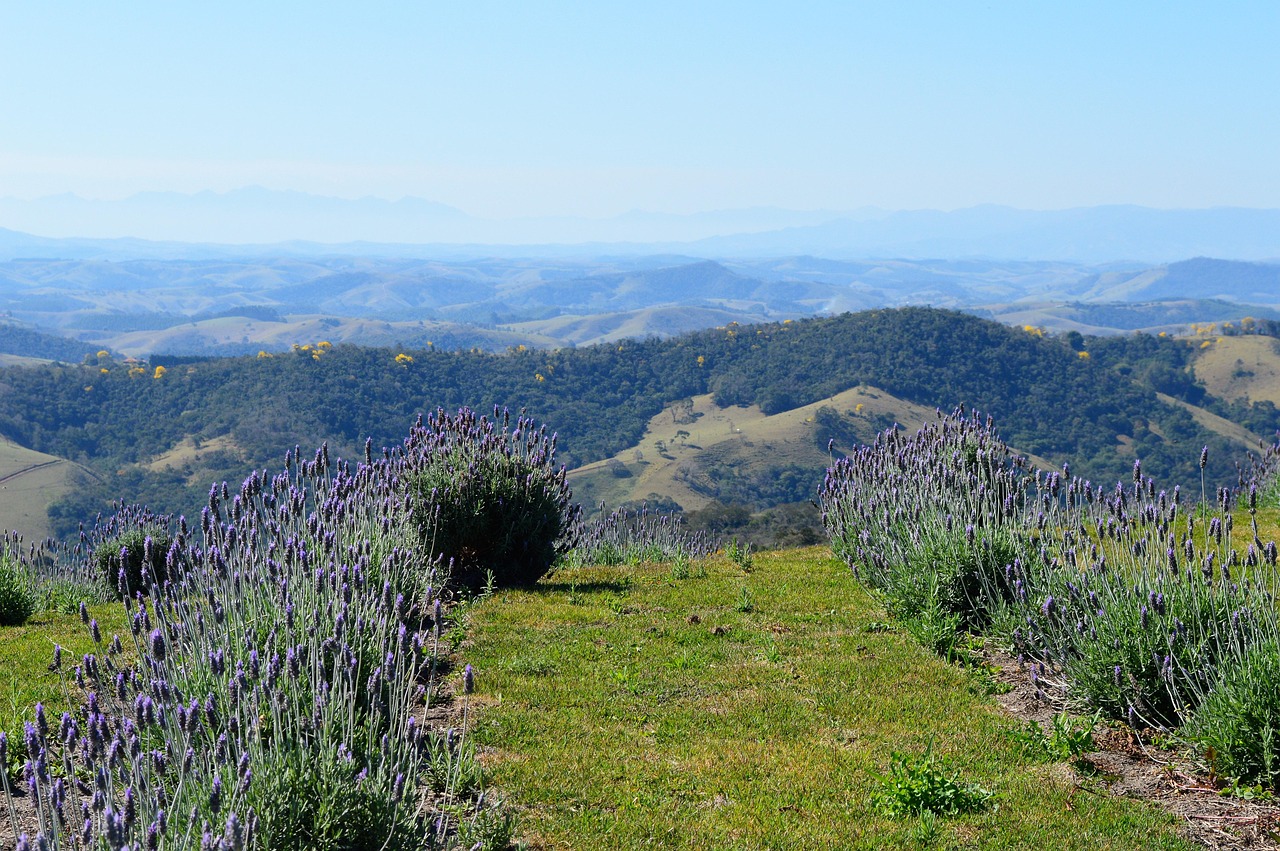 2025年3月 第285页