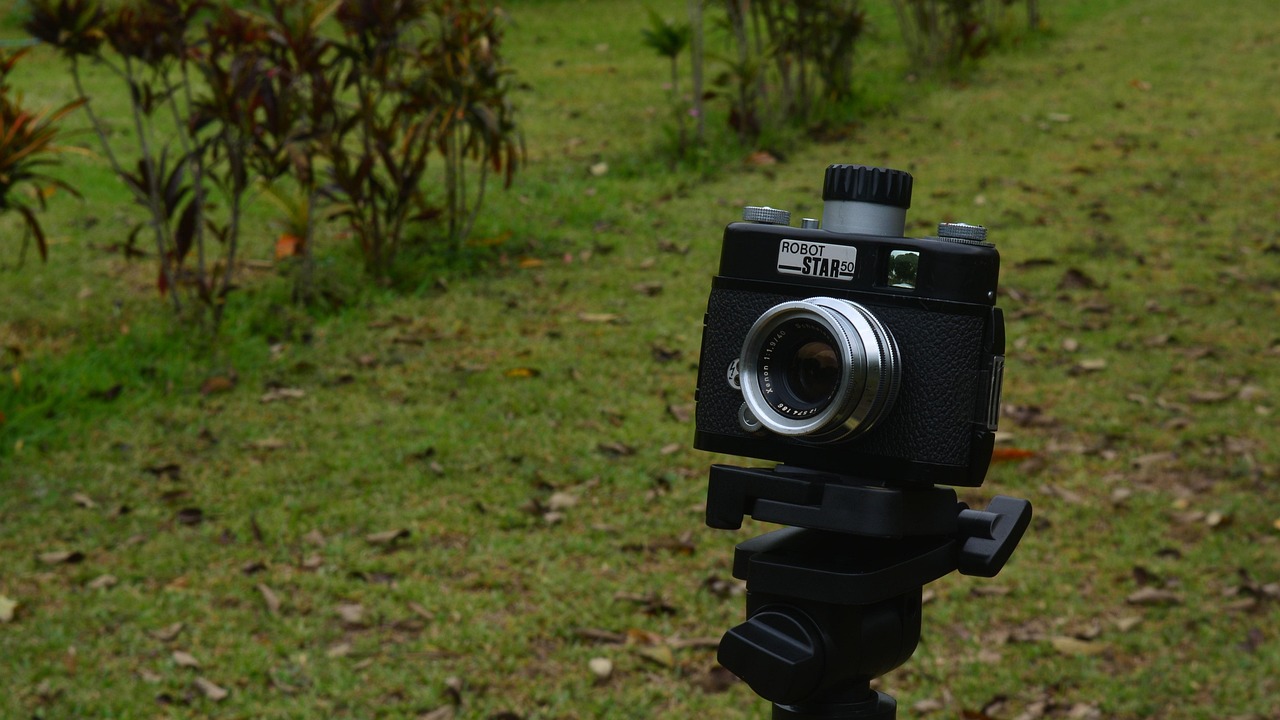 炎亚纶,跨界之星的持续闪耀最新动态