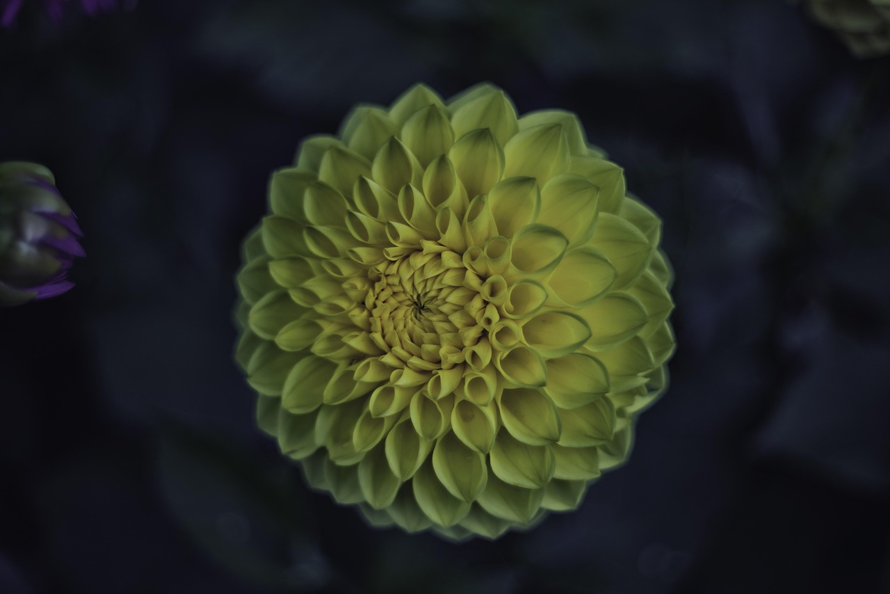 忻州道路施工最新进展报告,了解施工进展与动态