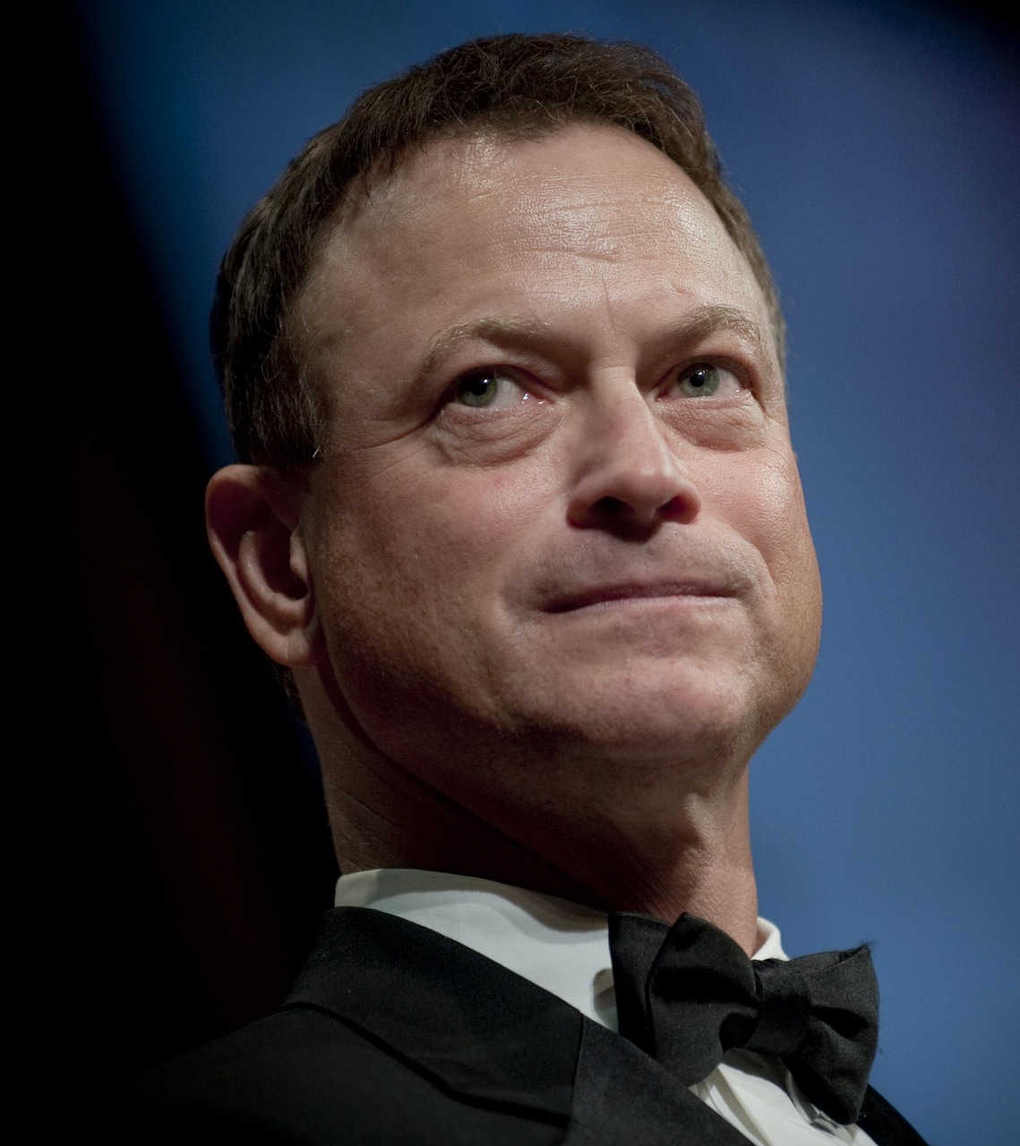 弗兰兹演员,演艺之路的璀璨之星闪耀之旅