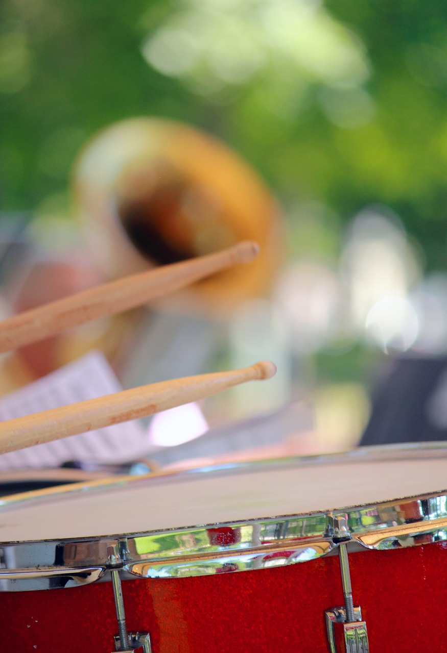 山东生猪价格最新动态及今日猪价分析