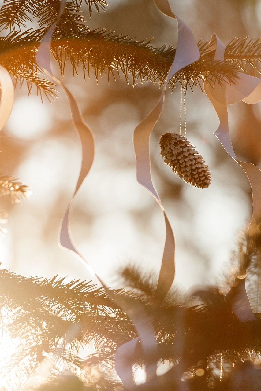 新芝麻上市季节，时间与季节的轮回