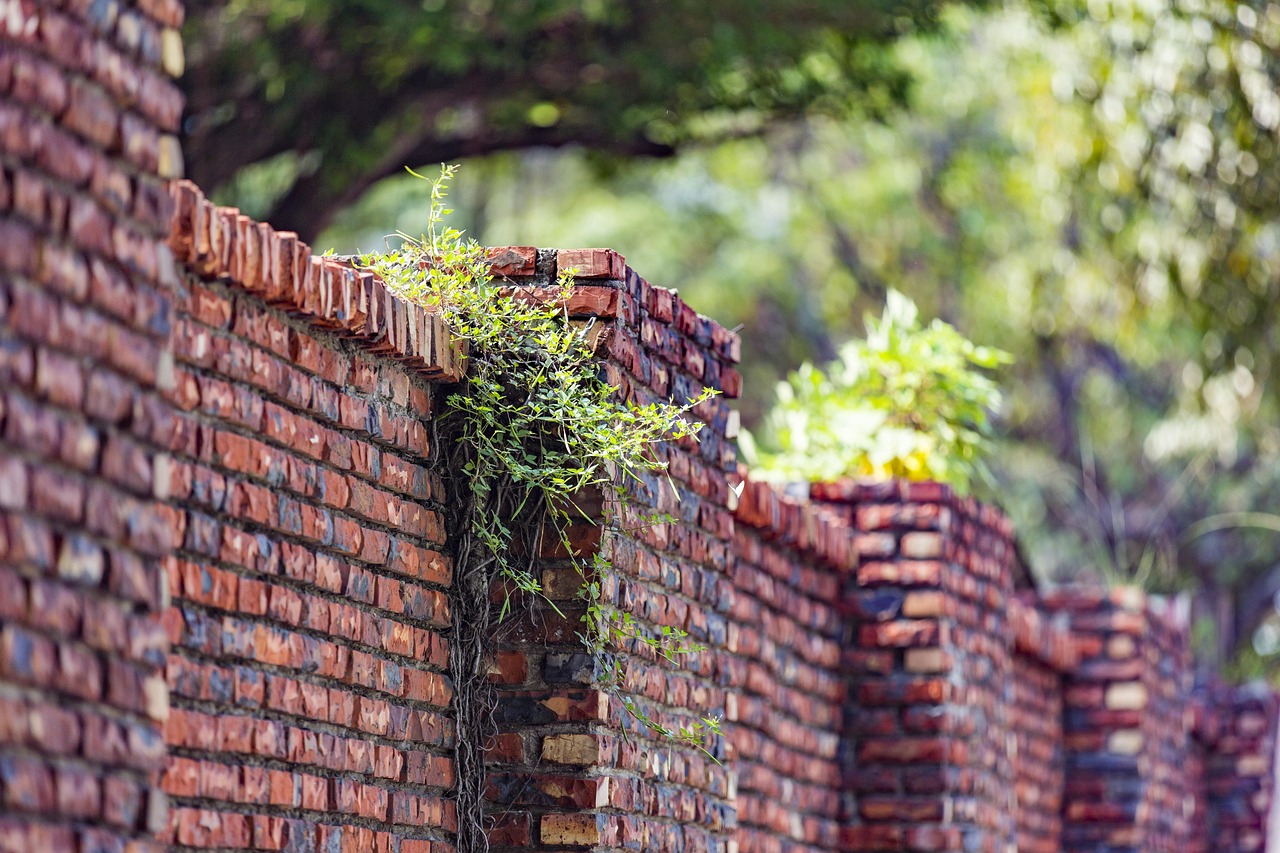 绿坊源上市,开启绿色生态新篇章之旅