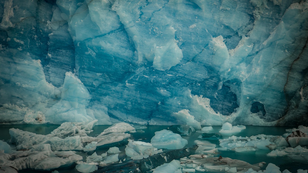 今日新希望最新动态2017年，坚定迈向未来的步伐