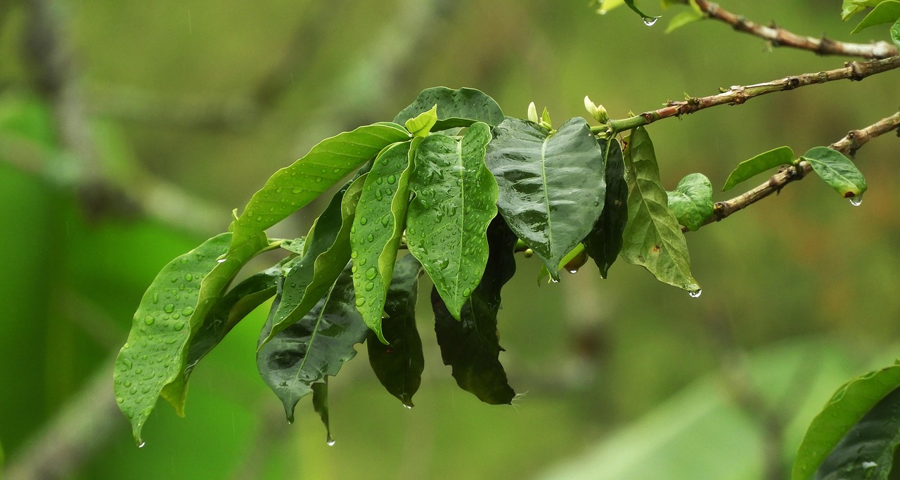 最新欧洲疫情动态更新，今日疫情状况及发展趋势