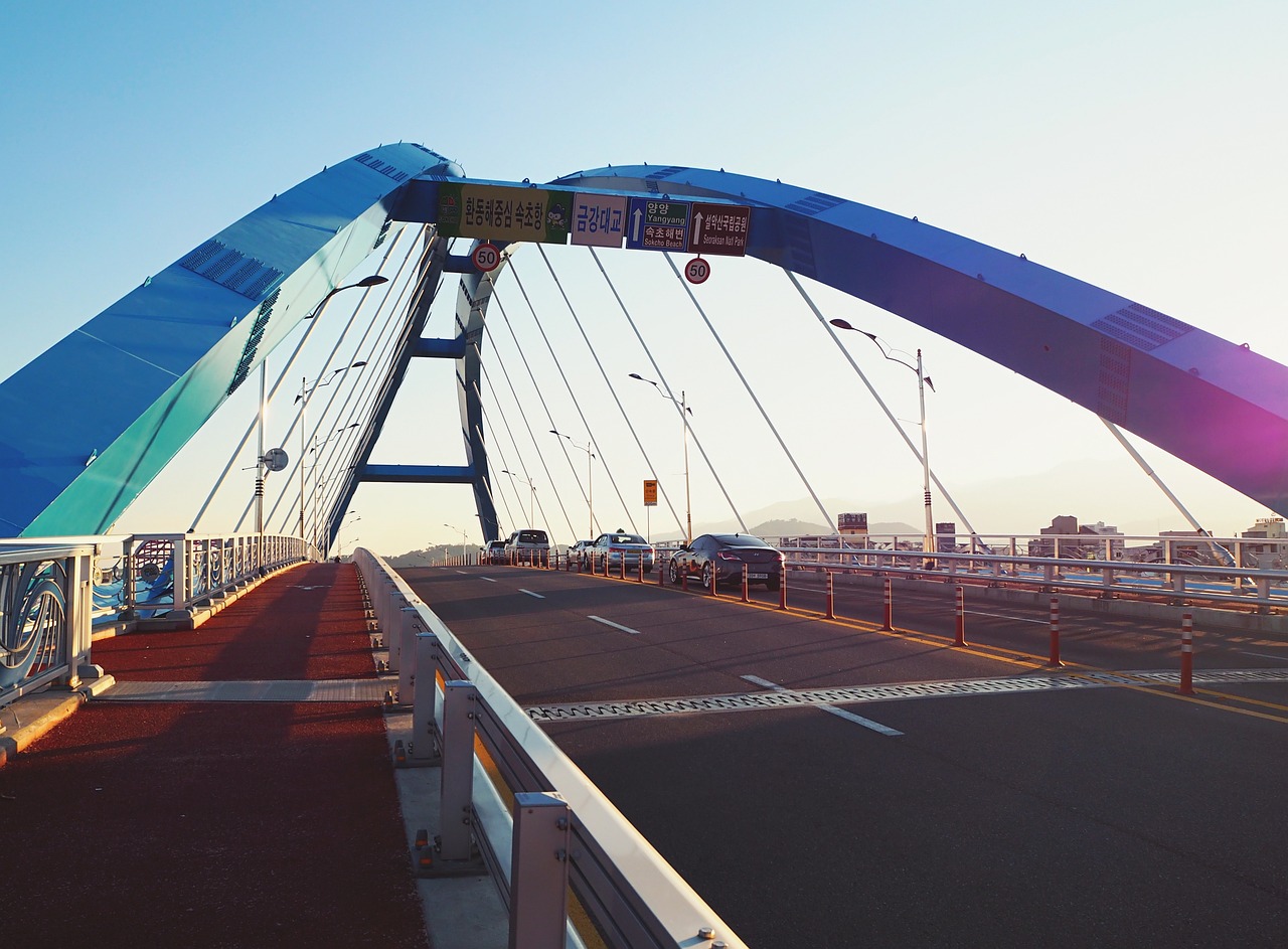 全球流感科研动态，最新进展与应对策略报告发布