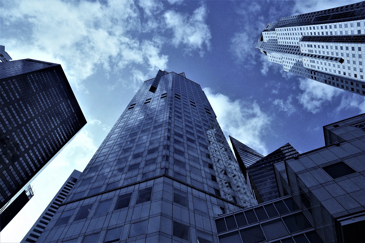 金贵银业股票行情分析与解读，今日市场动态揭秘