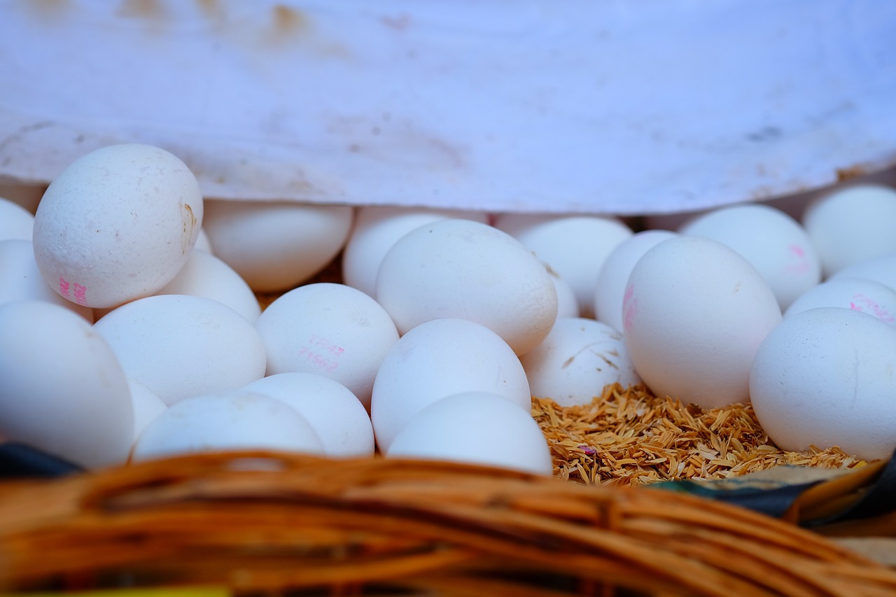 今日人事调整最新动态，企业变革展望与未来发展方向