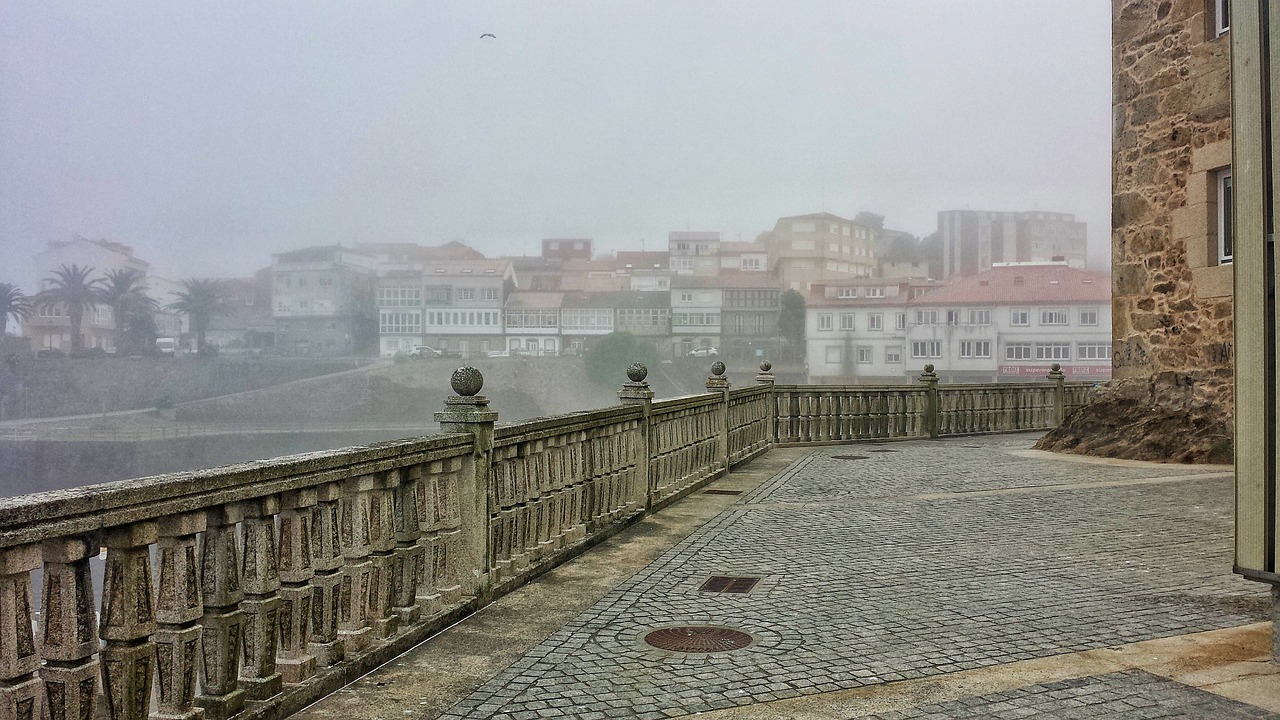 药材市场今日动态，价格走势分析、市场展望与未来趋势预测