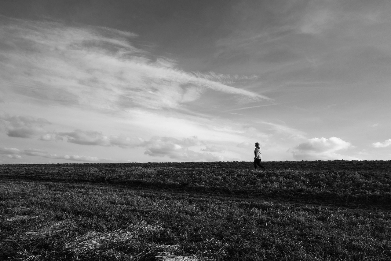 最新银行招聘动态及其影响,今日招聘资讯速递