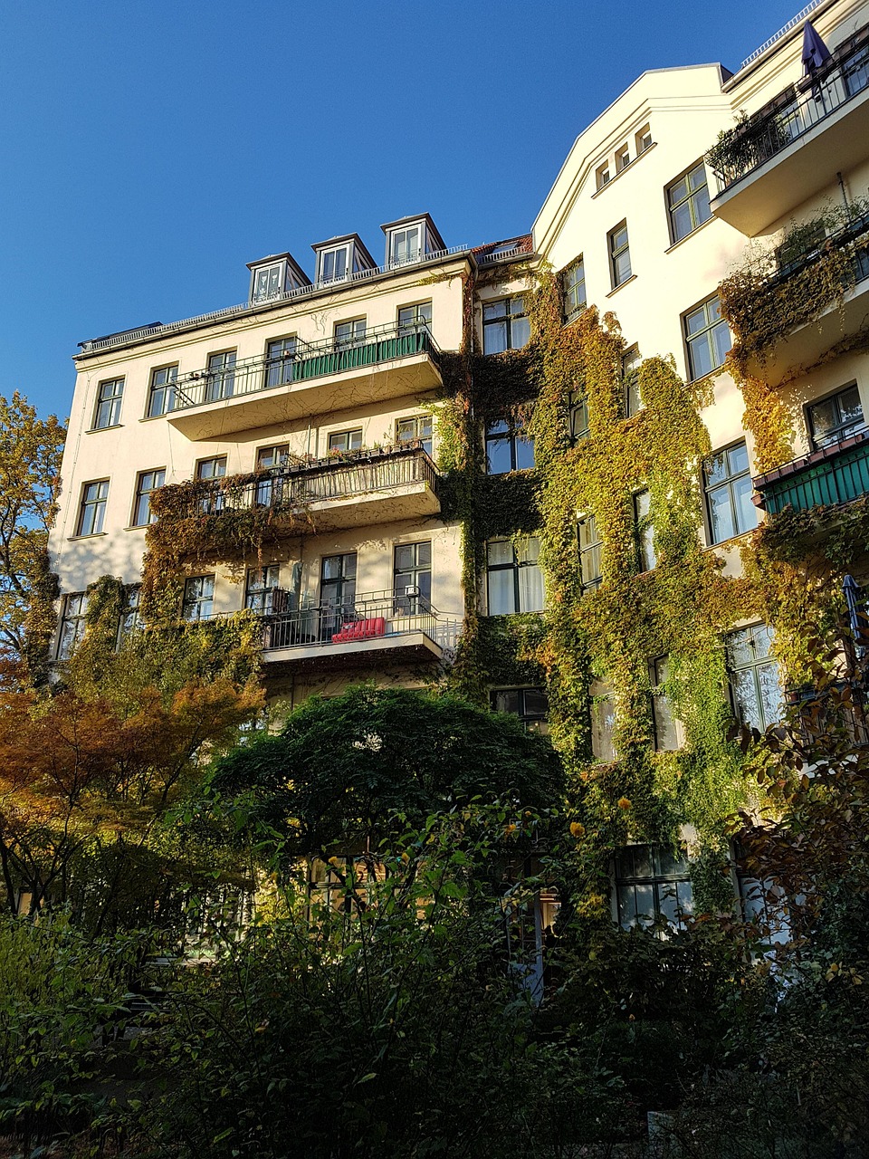 都市异能神医最新篇章，今日之光晖闪耀都市异能神医最新动态