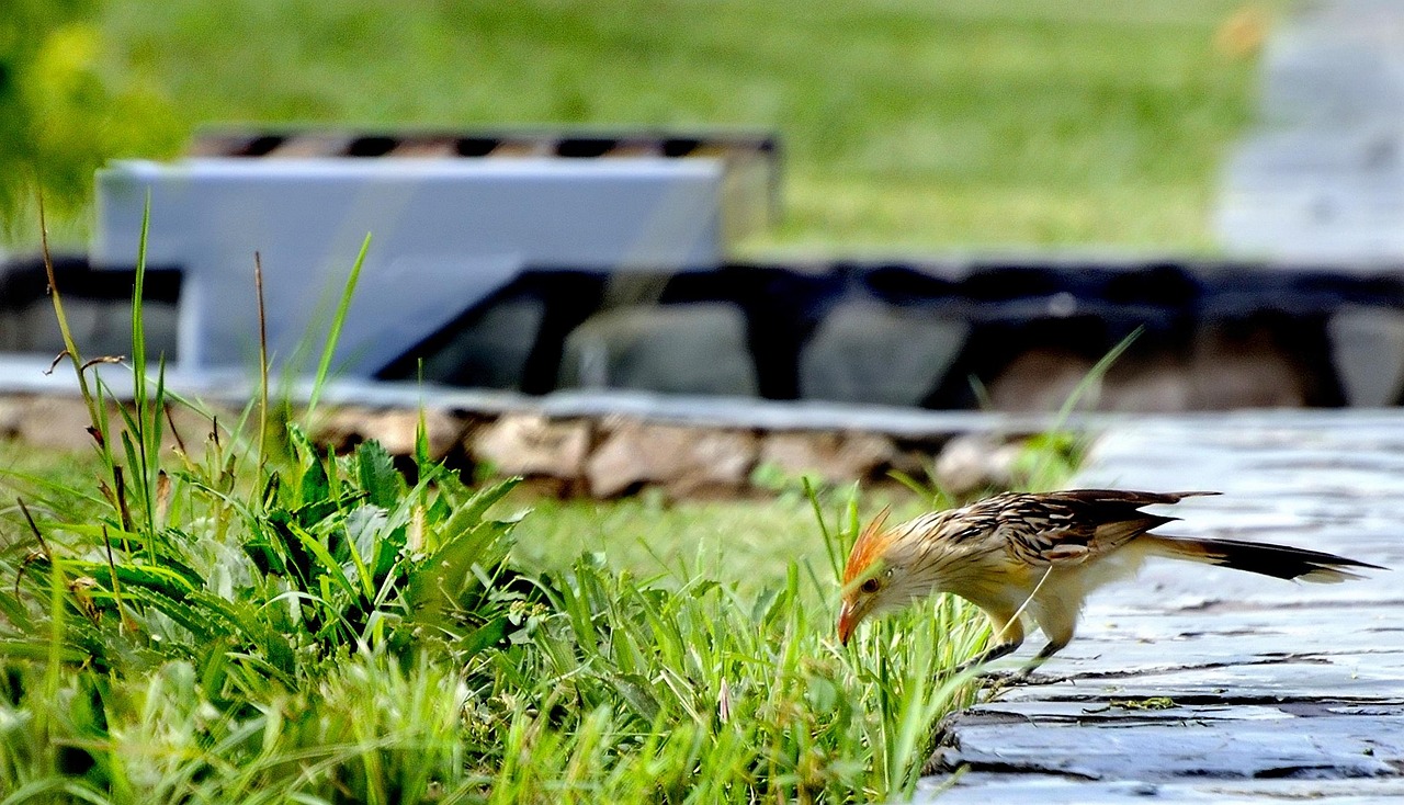 中山金鹰广场最新动态更新今日资讯