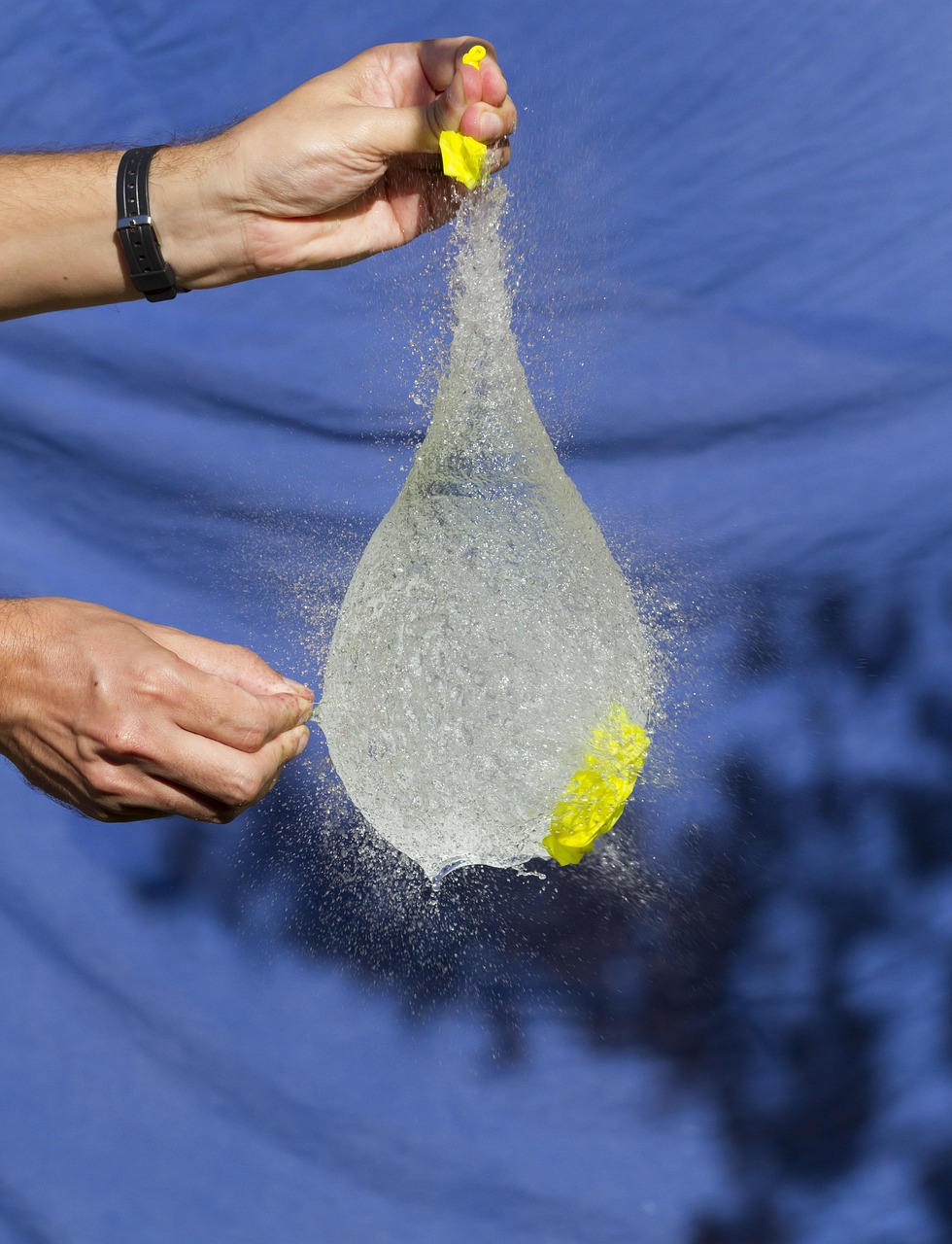 全球健康挑战的最新动态及其影响概览